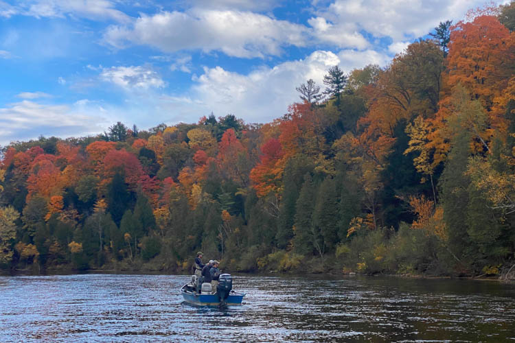 Muskegon River fishing report fall image
