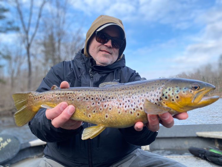 Muskegon River fishing report brown trout image