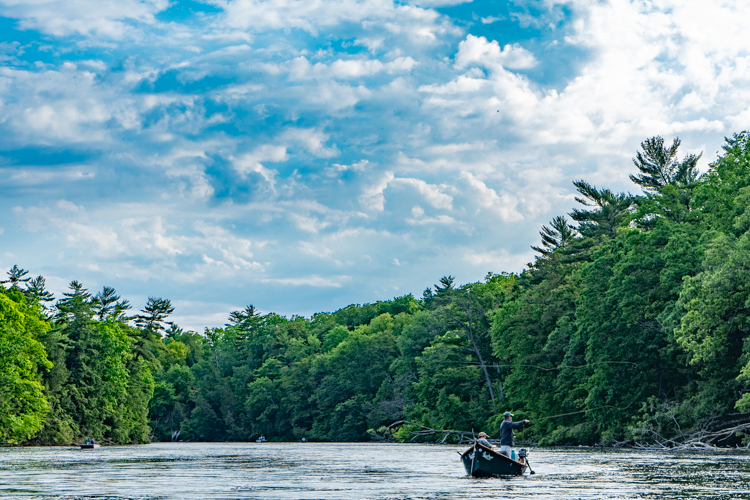Muskegon River fishing report trout fishing image